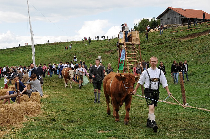 DSC_4204.JPG