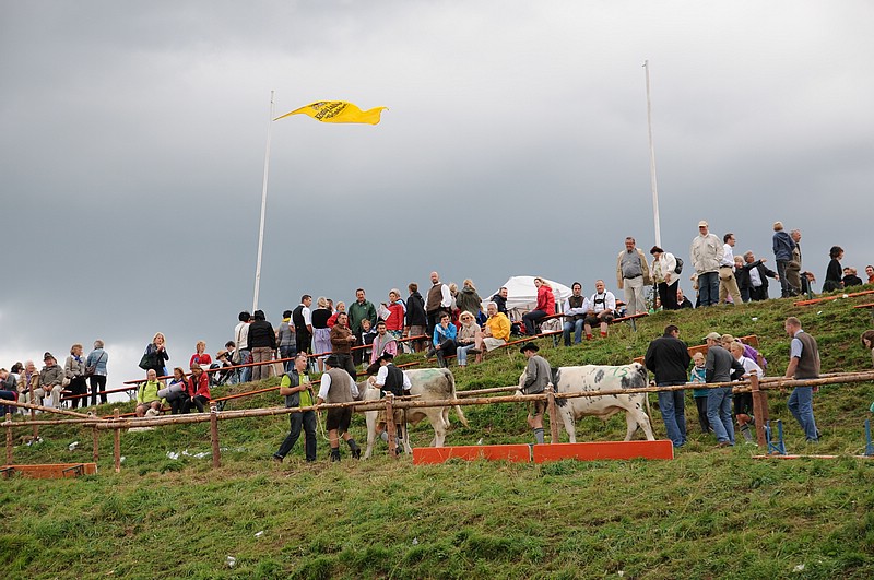 DSC_4207.JPG
