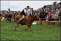 DSC_3878.JPG