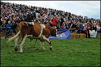 DSC_3882.JPG