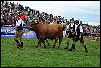 DSC_3901.JPG