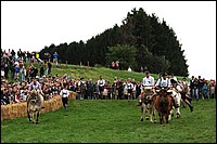 DSC_3909CE.jpg