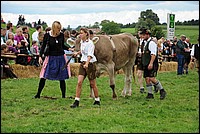 DSC_3931.JPG