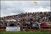DSC_3937.JPG