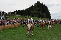 DSC_3950C.jpg