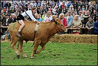 DSC_3981.JPG