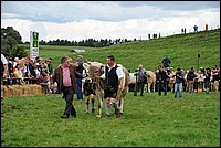 DSC_4037.JPG
