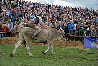 DSC_4088E.jpg