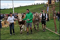 DSC_4180.JPG