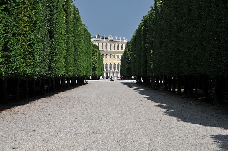 DSC_0683.JPG