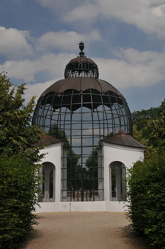 DSC_0821.JPG