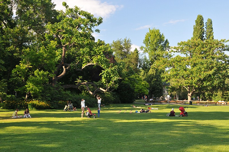 DSC_2206.JPG