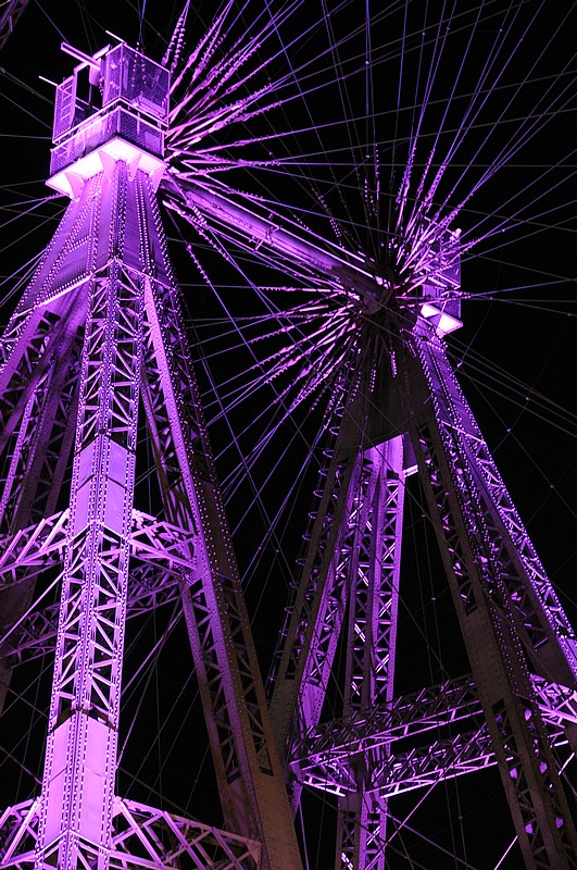 DSC_2664.JPG