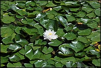 DSC_0605.JPG