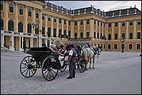 DSC_0977.JPG