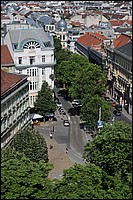 DSC_2108D.jpg