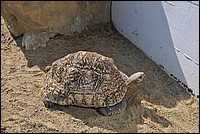 DSC_2110.JPG