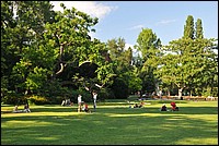 DSC_2206.JPG
