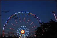DSC_2365CE.jpg