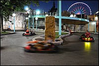DSC_2411D.jpg