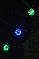DSC_2521G.jpg