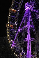 DSC_2673G.jpg