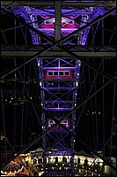 DSC_2697CD.jpg
