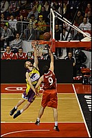 DSC_4091CD.jpg