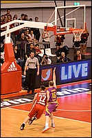 DSC_4600C.jpg