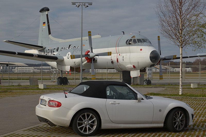 DSC_2493D.jpg