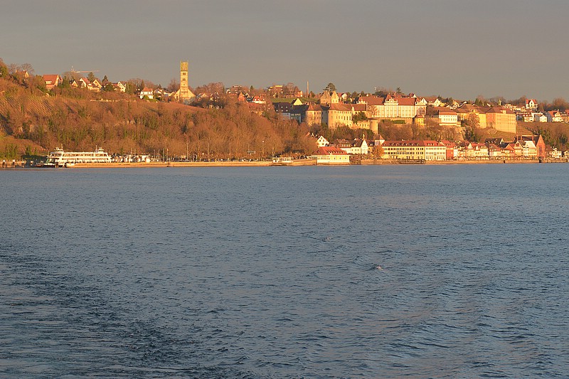 DSC_2635CS.jpg