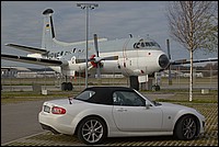 DSC_2493D.jpg