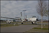 DSC_2495.JPG