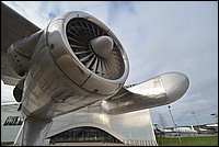 DSC_2497.JPG