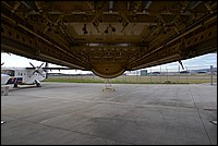 DSC_2608.JPG