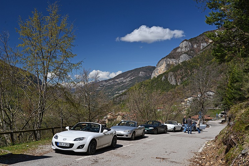 DSC_4729G.jpg