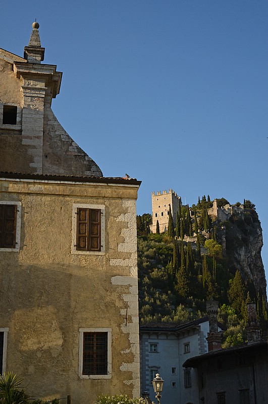 DSC_4915DG.jpg