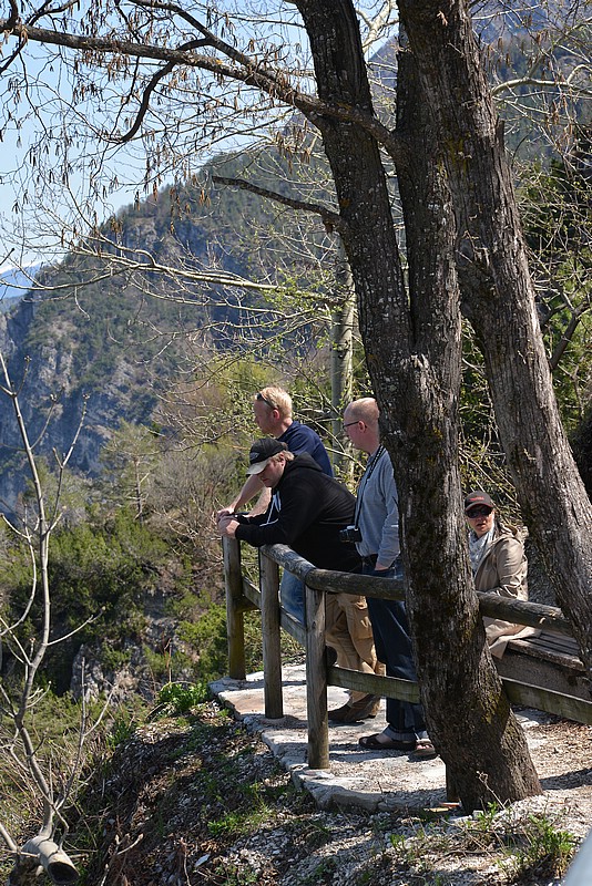DSC_4963.JPG