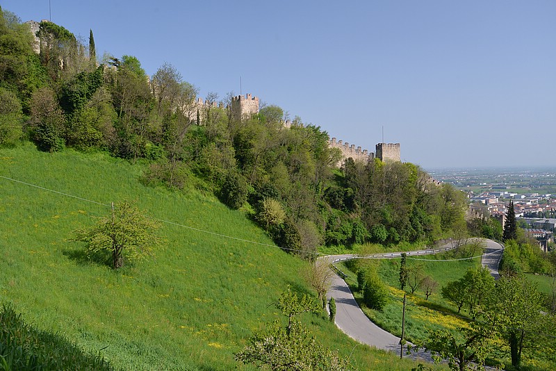 DSC_5111.JPG
