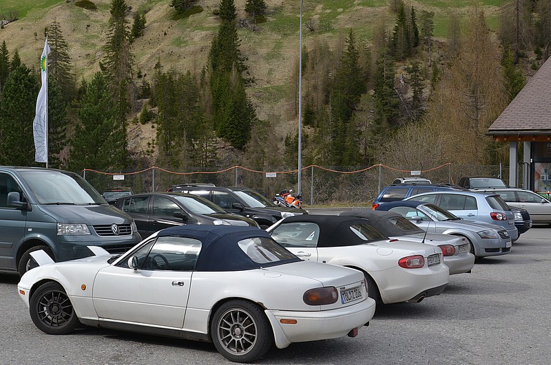 DSC_5316D.jpg