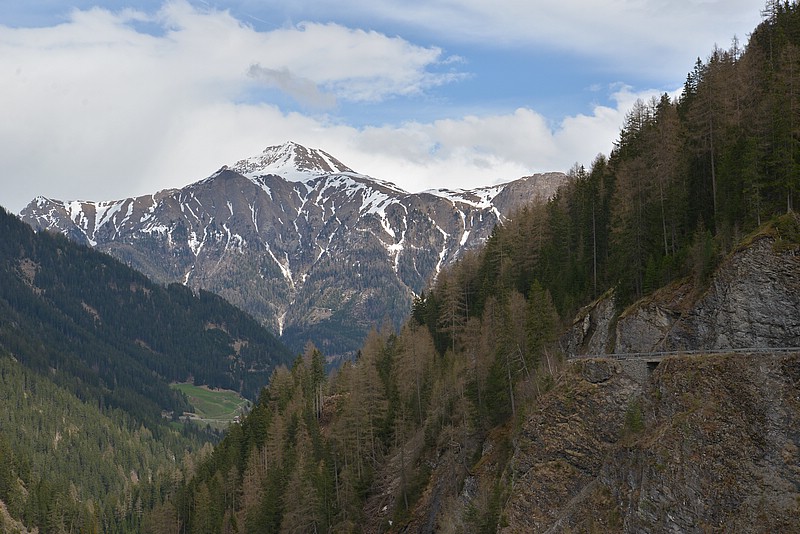 DSC_5317.JPG