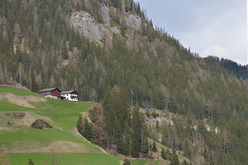 DSC_5319.JPG