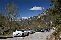 DSC_4729G.jpg