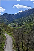 DSC_4735G.jpg