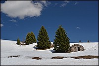 DSC_4753G.jpg