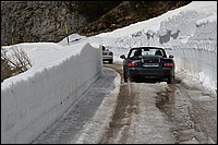 DSC_4775CD.jpg