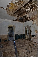 DSC_4861D.jpg