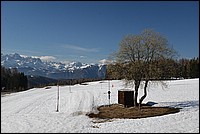 DSC_4882.JPG