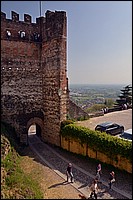 DSC_5096DG.jpg