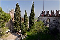 DSC_5109G.jpg